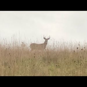 Meet your Posher, Patrick